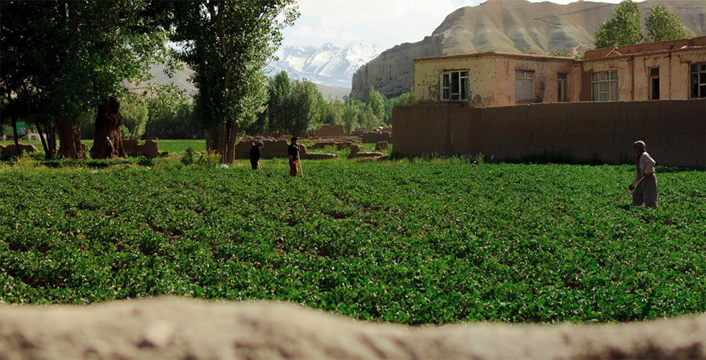Frodig mark på landsbygda i Afghanistan